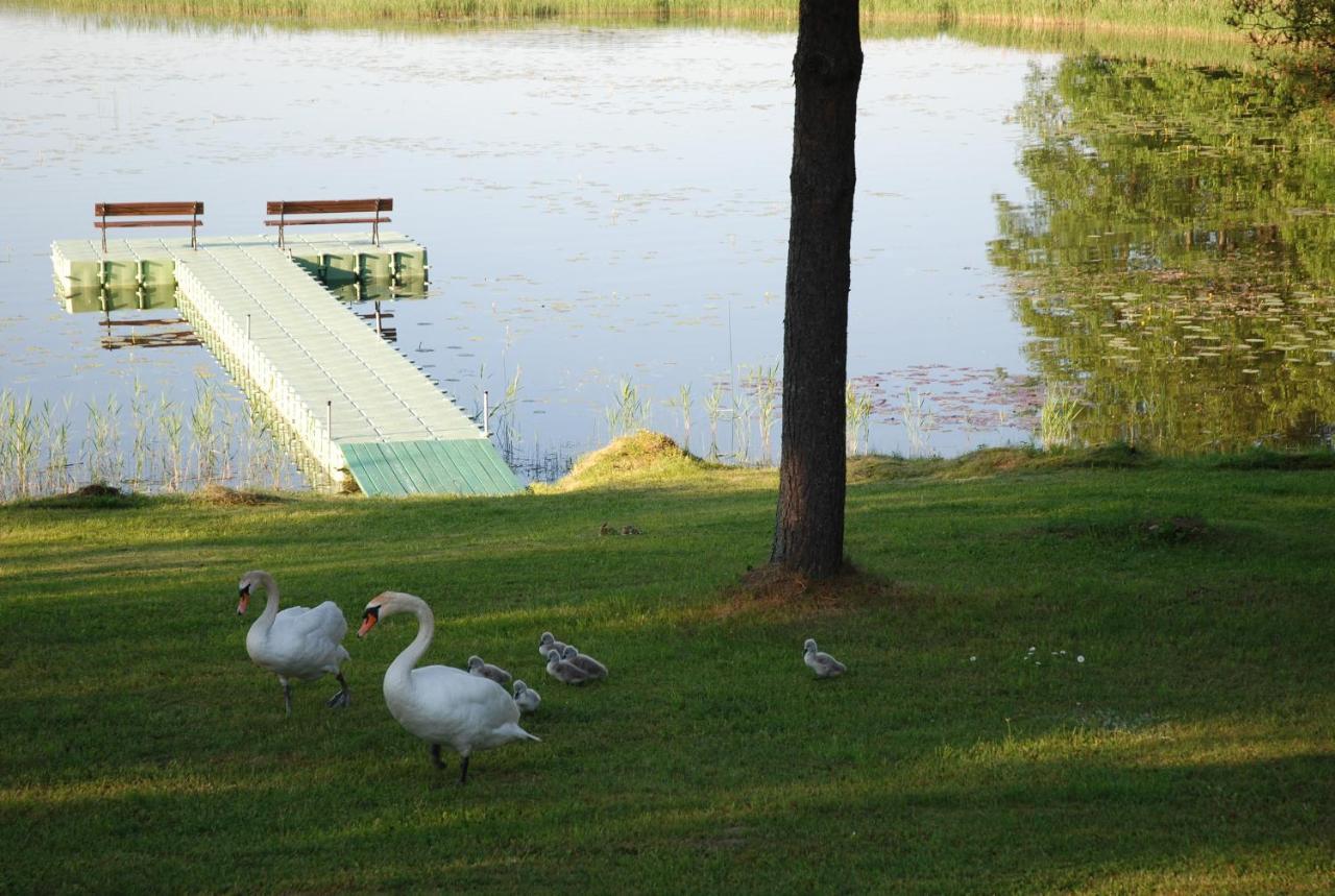 Sodyba - Antalieptes Marios Zarasai Exteriör bild